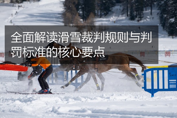 全面解读滑雪裁判规则与判罚标准的核心要点